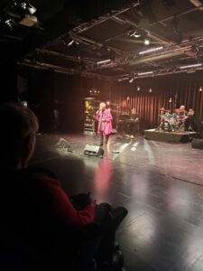 Arja Havakka laulaa.