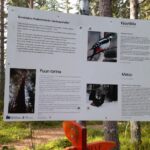 Opastaulussa ison puun ym tarinoita