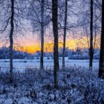 Kuva Kirsti Honkanen